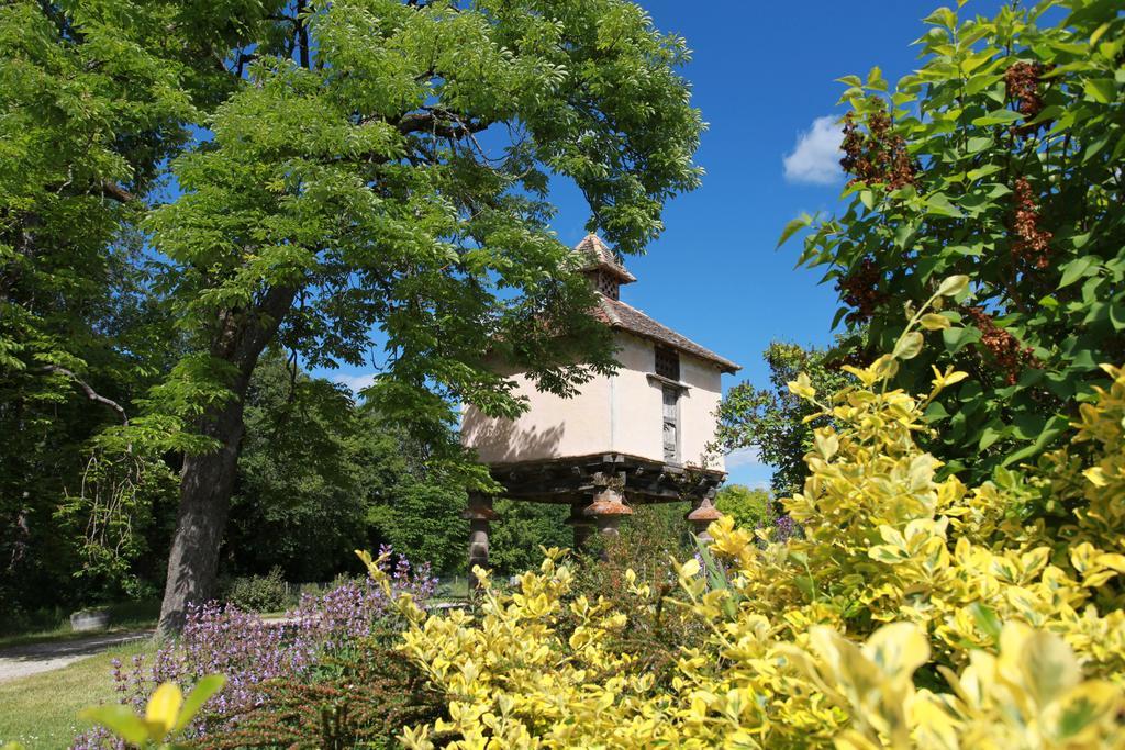 Château de Mayragues Castelnau-de-Montmiral Exterior foto